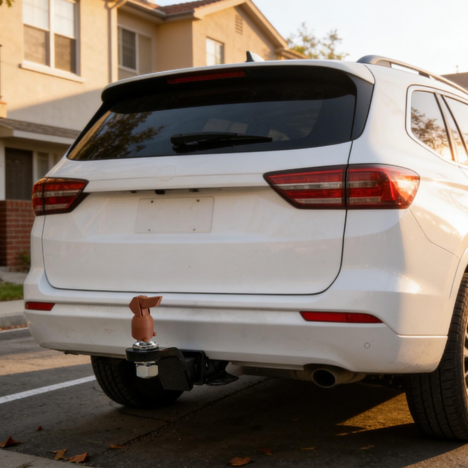 Anhängerkupplungsabdeckungen:  – Car Accessories For Road Trip Bewertung und Preis